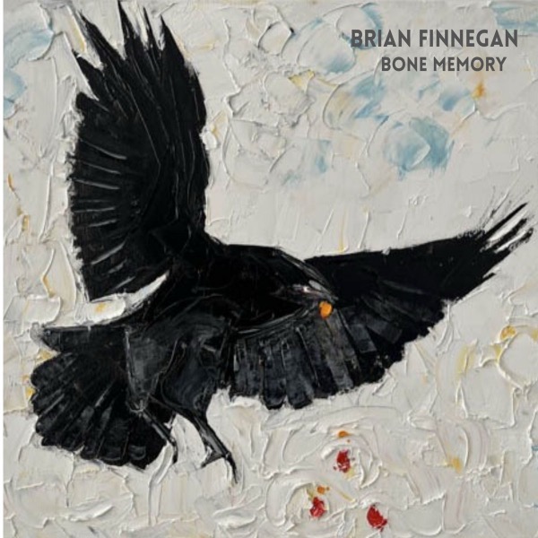 Bone Memory by Brian Finnegan
