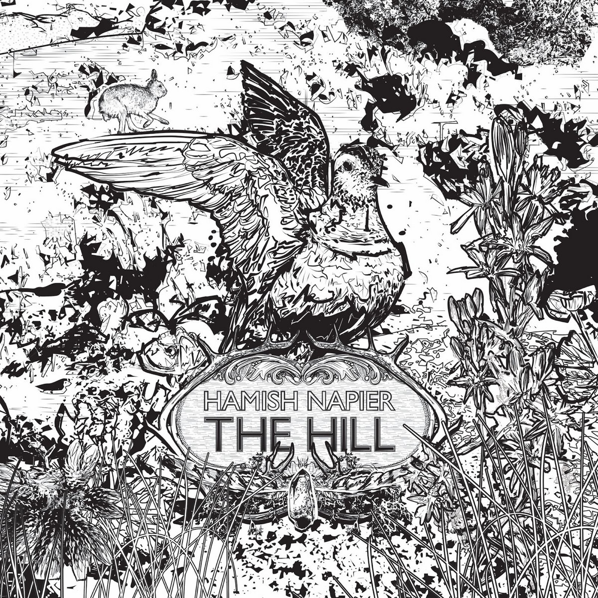 The Hill by Hamish Napier