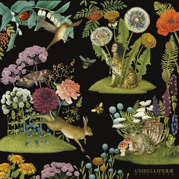 Umbelliferæ by Kate Young
