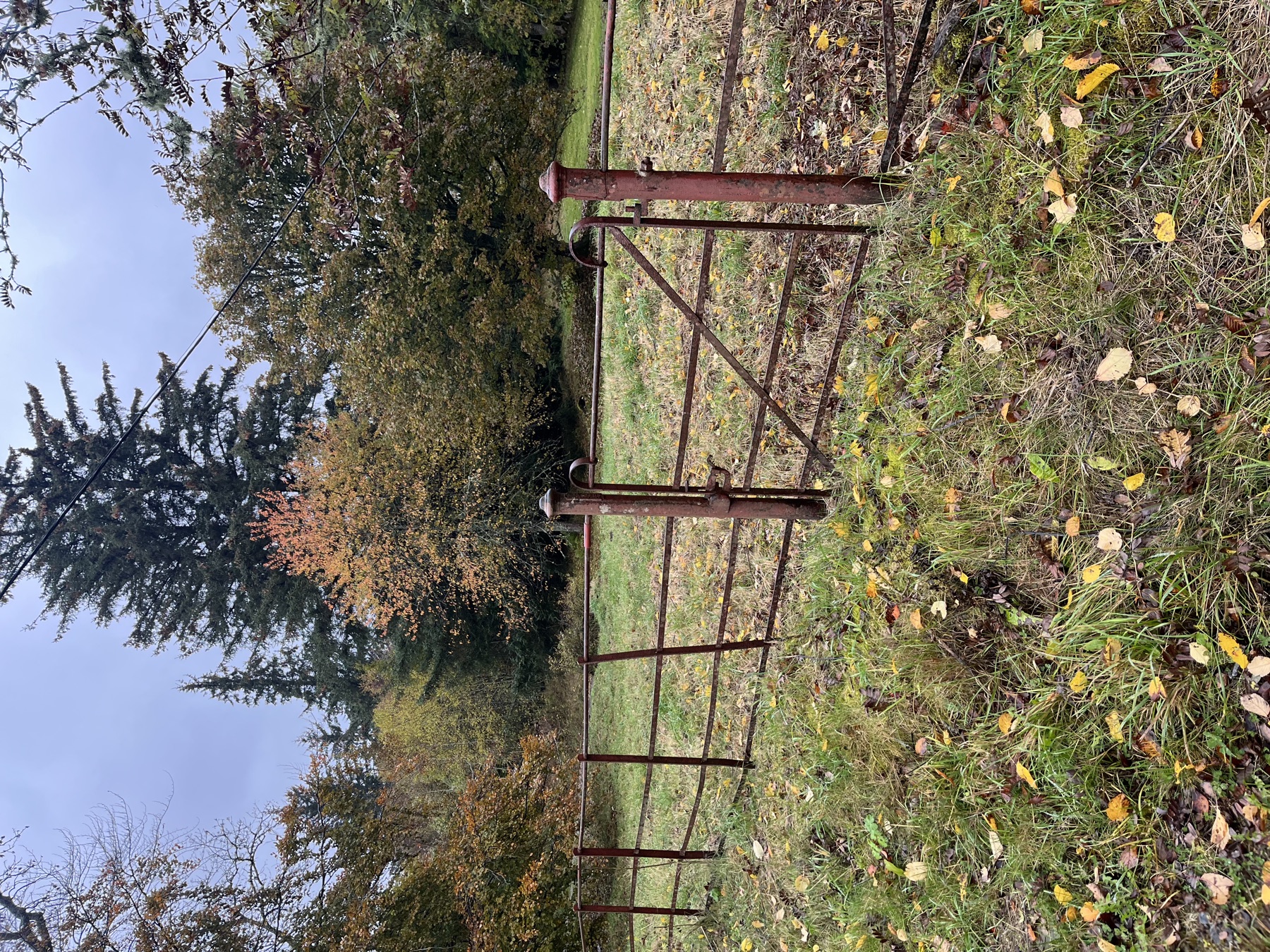 Cateran Trail photograph