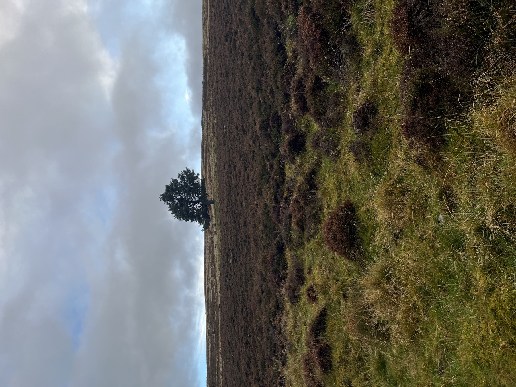 Cateran Trail photograph